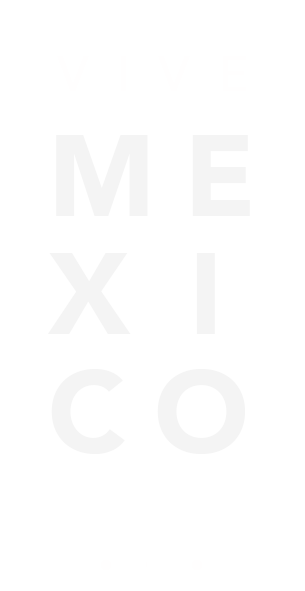 VIME MEXICO