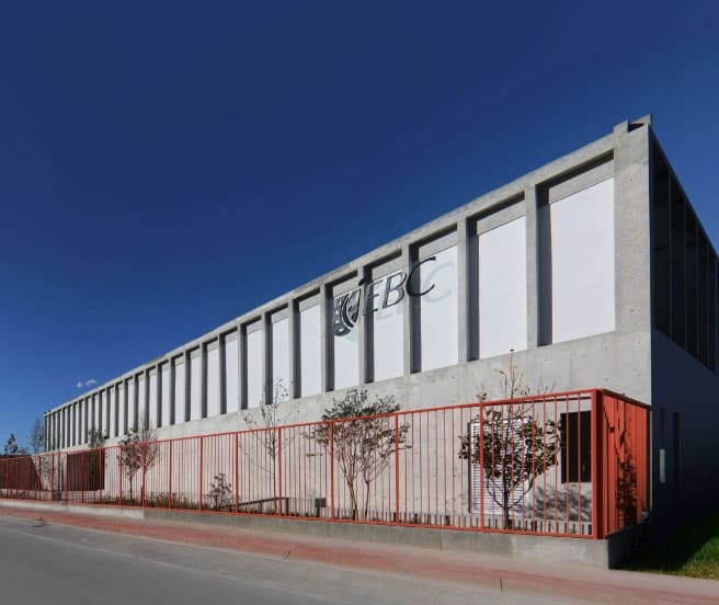 Programa Licenciatura