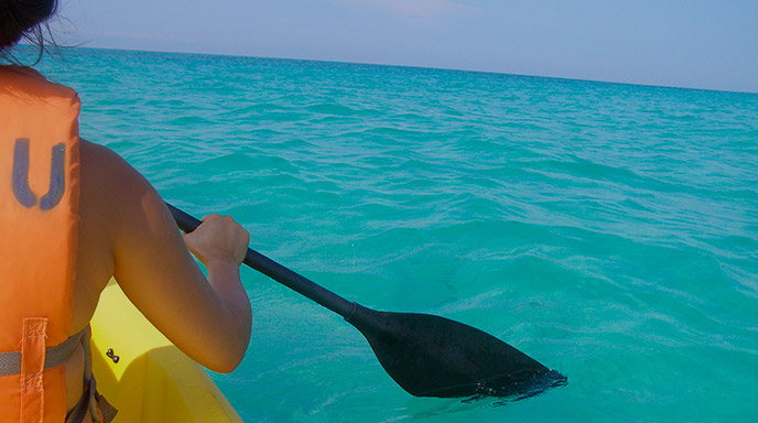 Kayak tour