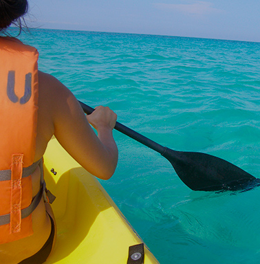 Kayak tour