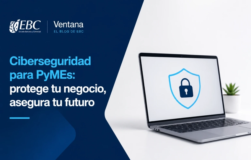 Ciberseguridad para PyMEs mexicanas Protege tus datos sin un gran presupuesto